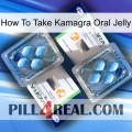 How To Take Kamagra Oral Jelly viagra5